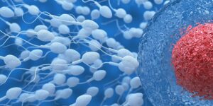 articol 2 fivmures doualocuri.ro