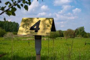 Photo "7 essential rules for being a more responsible financial steward"